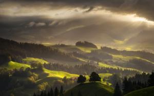Switzerland, Landscape, Forest, Mist, Nature, Mountain, Villages, Sun Rays, Spring, Green wallpaper thumb