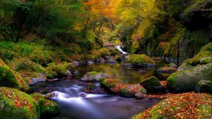 Scenic, Nature, Stream, Water, Stone, Colorful, Landscape wallpaper thumb