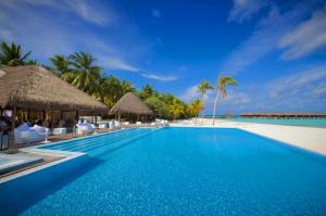 maldives, ocean, swimming pool wallpaper thumb