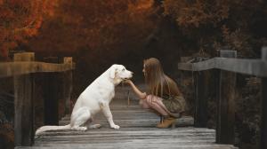 Labrador, girl, dog wallpaper thumb