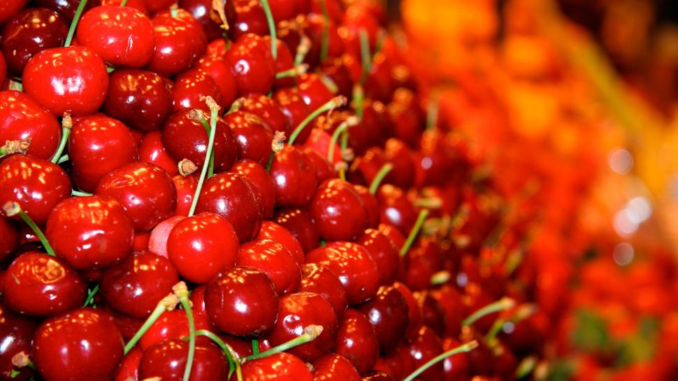 A lot of red cherry berries wallpaper,Lot HD wallpaper,Red HD wallpaper,Cherry HD wallpaper,Berries HD wallpaper,1920x1080 wallpaper