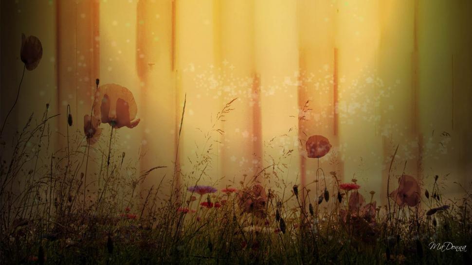 Poppies On The Wall wallpaper,firefox persona HD wallpaper,vintage HD wallpaper,building HD wallpaper,wall HD wallpaper,poppies HD wallpaper,flowers HD wallpaper,antique HD wallpaper,poppy HD wallpaper,3d & abstract HD wallpaper,1920x1080 wallpaper