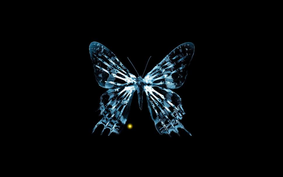 Creative pictures, x-rays, butterfly, bones, fringe wallpaper,Creative HD wallpaper,Pictures HD wallpaper,X HD wallpaper,Rays HD wallpaper,Butterfly HD wallpaper,Bones HD wallpaper,Fringe HD wallpaper,2560x1600 wallpaper