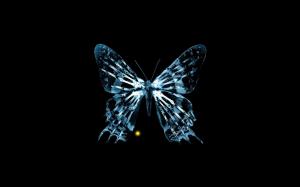 Creative pictures, x-rays, butterfly, bones, fringe wallpaper thumb