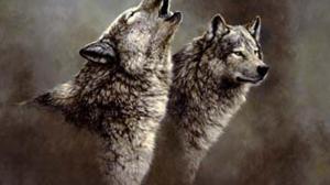 Wolf Song wallpaper thumb