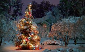 new year, christmas, tree, night, holiday, home, beauty wallpaper thumb