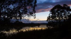 Australia, grass, trees, sky, clouds, river, dawn, water reflection wallpaper thumb