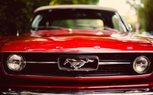 Ford Mustang Classic Car Classic HD wallpaper thumb