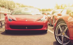 Red Ferrari cars wallpaper thumb