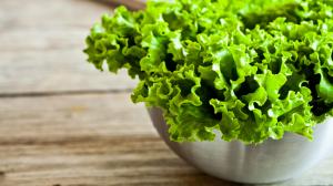 Bowl, vegetable, green salad wallpaper thumb