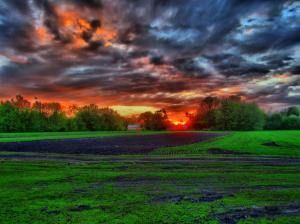 Field, Sunset, Clouds, Nature, Landscape wallpaper thumb