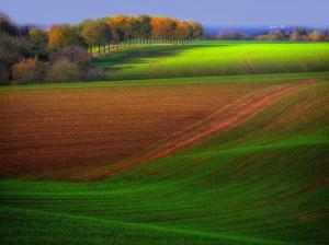 Autumn farm field, trees, green and brown, beautiful scenery wallpaper thumb