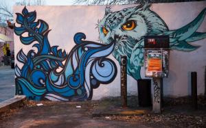 Owl Bird Graffiti HD wallpaper thumb
