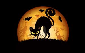 Halloween Cats Bats HD wallpaper thumb