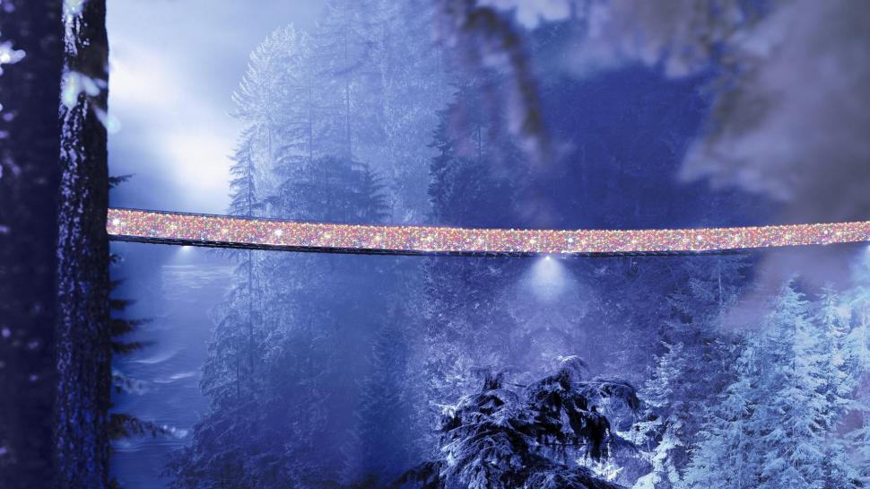 Wonderful Capilano Suspension Bridge At Christmas wallpaper,forest HD wallpaper,river HD wallpaper,suspention HD wallpaper,bridge HD wallpaper,christmas HD wallpaper,nature & landscapes HD wallpaper,1920x1080 wallpaper