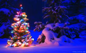 Snow and Lights on Christmas Tree wallpaper thumb