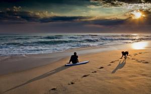 Beach Sunset Surfboard Sunlight Clouds Dog Ocean HD wallpaper thumb