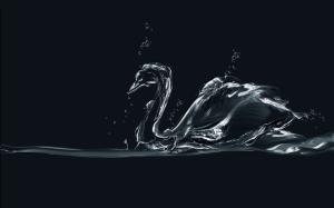 Water Swan wallpaper thumb