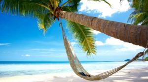 Beaches, coconut trees, hammocks, blue sea sky scenery wallpaper thumb