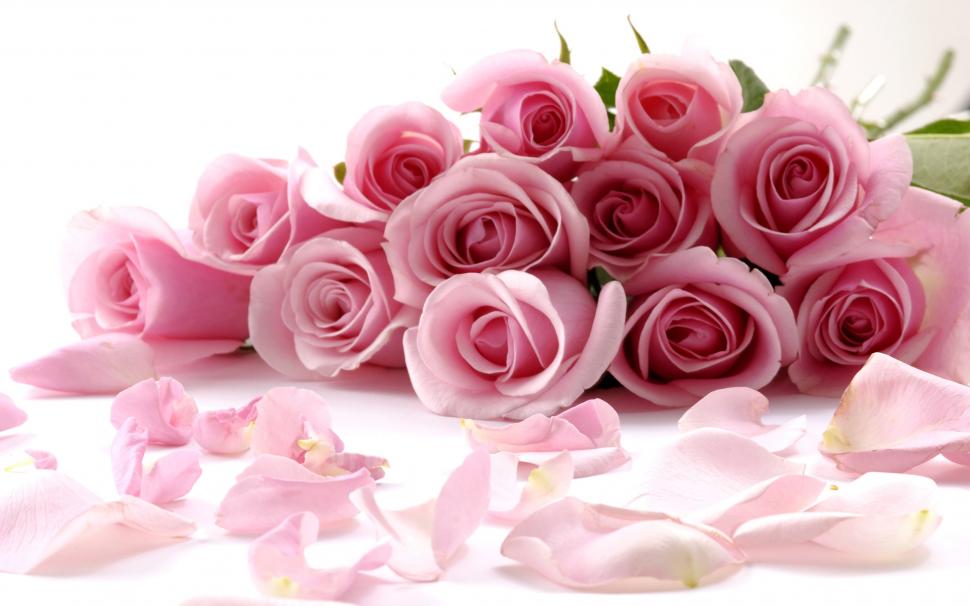 Romantic bouquet of pink roses wallpaper,Romantic HD wallpaper,Bouquet HD wallpaper,Pink HD wallpaper,Rose HD wallpaper,2560x1600 wallpaper