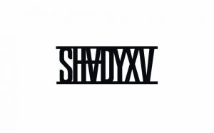 shadyxv, eminem, slim shady, monster tour, 2014, marshall mathers wallpaper thumb