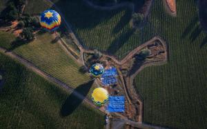 Hot air balloons, farm field, road, countryside wallpaper thumb