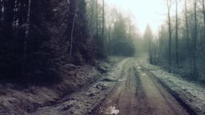 Misty Forest Dirt Road wallpaper thumb