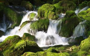 Waterfall, stones, moss wallpaper thumb