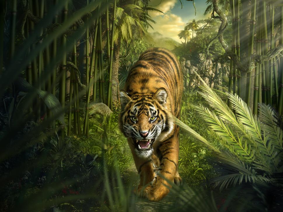 Tiger Jungle Bamboo HD wallpaper,animals HD wallpaper,tiger HD wallpaper,jungle HD wallpaper,bamboo HD wallpaper,2560x1920 wallpaper