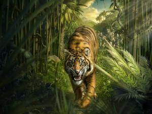Tiger Jungle Bamboo HD wallpaper thumb