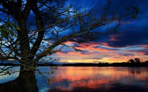 Sunset lake and tree wallpaper thumb