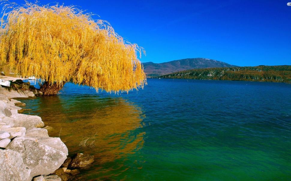 Willow by the lake wallpaper,nature HD wallpaper,1920x1080 HD wallpaper,lake HD wallpaper,Water HD wallpaper,Willow HD wallpaper,tree HD wallpaper,Rock HD wallpaper,sky HD wallpaper,2880x1800 wallpaper