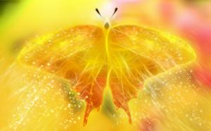Beautiful golden light butterfly wallpaper thumb