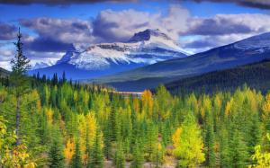 Banff National Park, Alberta, Canada, mountains, sky, forest, trees wallpaper thumb