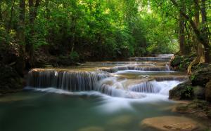 Forest trees, waterfalls, river, green nature wallpaper thumb