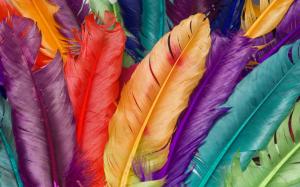 3D colorful feathers wallpaper thumb