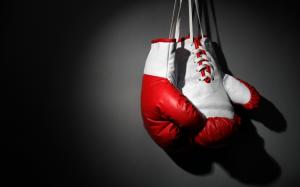 Boxing Gloves wallpaper thumb