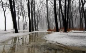 Winter, trees, snow, ice, water, fog, rain wallpaper thumb