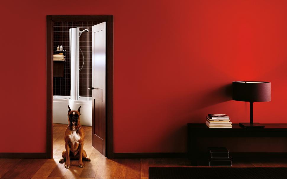 Cool Style Red Room and Dog wallpaper,room HD wallpaper,style HD wallpaper,cool HD wallpaper,architecture HD wallpaper,1920x1200 wallpaper