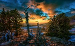 Landscape, Nature, Sunset, Clouds, Snow, Trees, Hill, Sunlight, Oregon wallpaper thumb