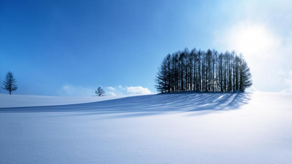 Winter Scenery wallpaper,winter HD wallpaper,scenery HD wallpaper,1920x1080 wallpaper