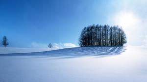 Winter Scenery wallpaper thumb