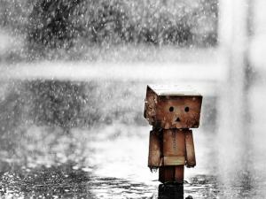 it’s raining cute danbo Robot HD wallpaper thumb