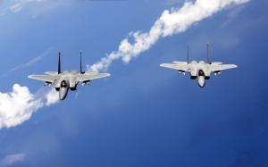 F 15 Eagles from the Air National Guard HD wallpaper thumb