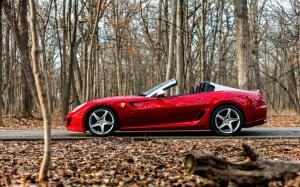 Ferrari red supercar in the forest wallpaper thumb