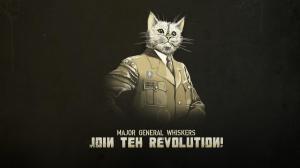 Animals Cats Humor Funny Uniform Statement Whiskers Kitten Military Revolution Magazine wallpaper thumb