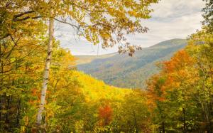 Autumn Trees Mountains Landscape Pictures For Desktop wallpaper thumb