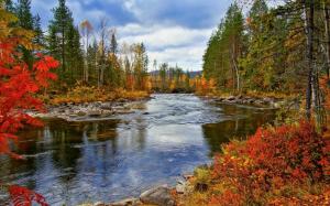 River, trees, autumn, nature scenery wallpaper thumb
