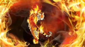 Hd Fire Tiger wallpaper thumb