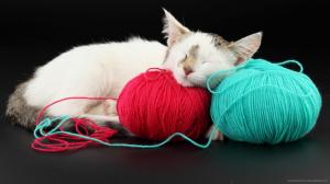 Cat Sleeping Witth Yarn wallpaper thumb